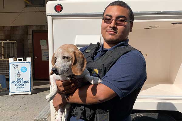 animal services officer holding a lost dog in front of an animal services truck