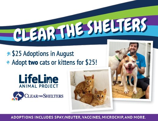 4113ll clear the shelters25 SMPs_f 520x400N 4113ll clear the shelters25 SMPs_f 520x400N